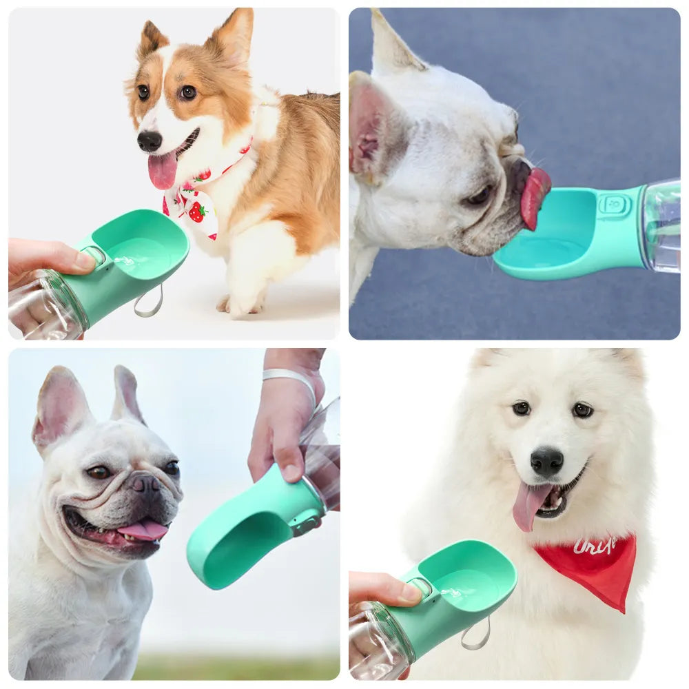 Portable dogs water bottle